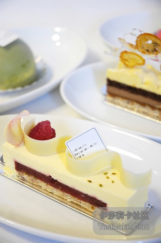 (3)分享2009日本顶尖甜点店的甜点，不仅仅是感动