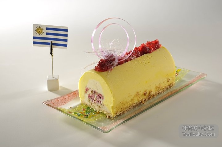 2011西点世界杯各国参赛蛋糕照片（2011开春最给力的照片)