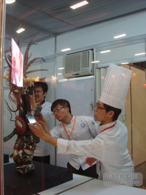 澳洲队的作品很抢眼引来大家争着拍照