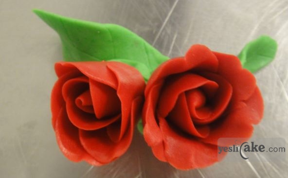 练习的玫瑰花~marzipan Rose,人人都可以学做的