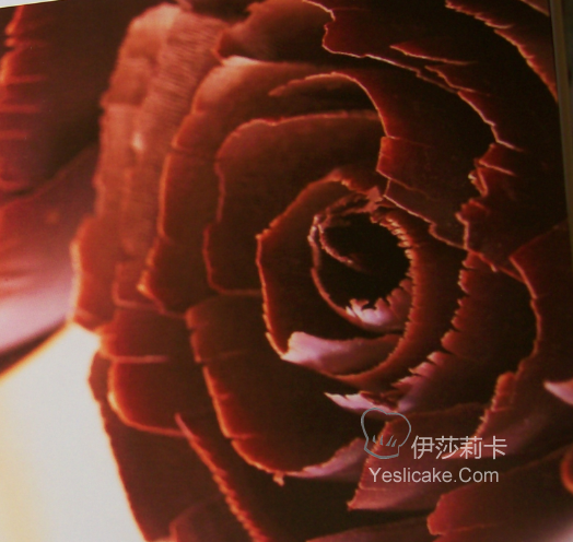 巧克力花 制作 请不要潜水 发表意见下 交流 交流