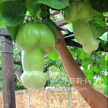 非看不可！！！ 什么水果？