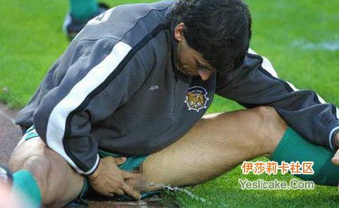 你的网名叫啥?经典搞笑网名