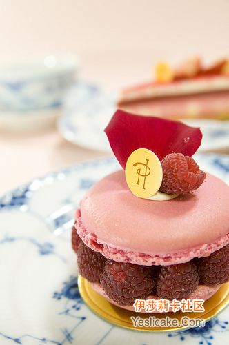 2009法国顶级名店慕斯产品