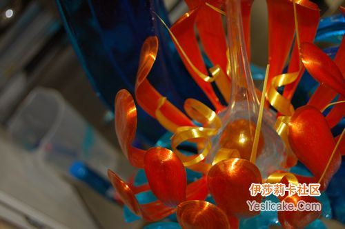 2008美國WPTC比賽之現場圖片